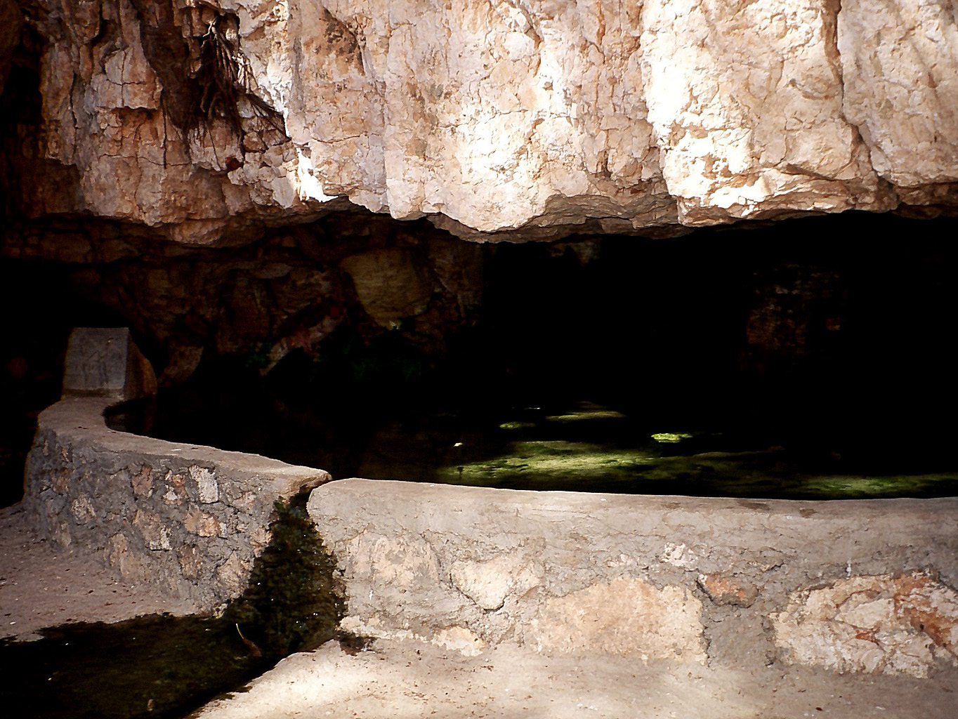 Fins cave, Oman